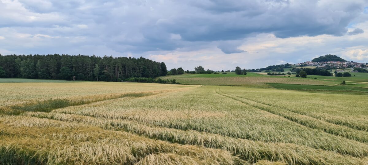 Marktgemeinderat Parkstein: Grünes Licht für Solarparks