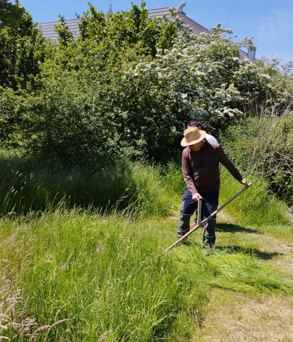 Wer will das Mähen mit der Sense lernen? Kurs in Ebermannsdorf
