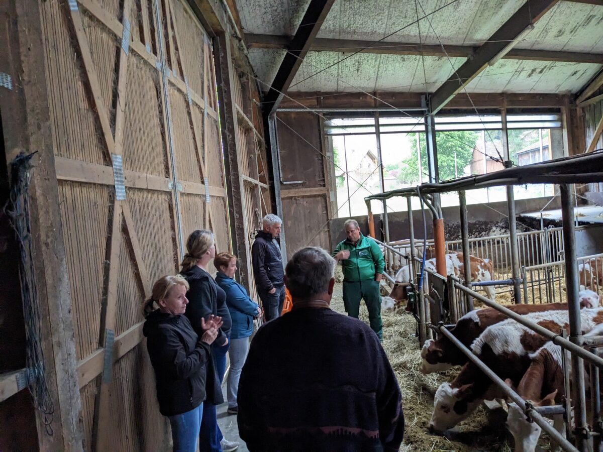SPD-Ortsverein besucht modernen Milchviehbetrieb
