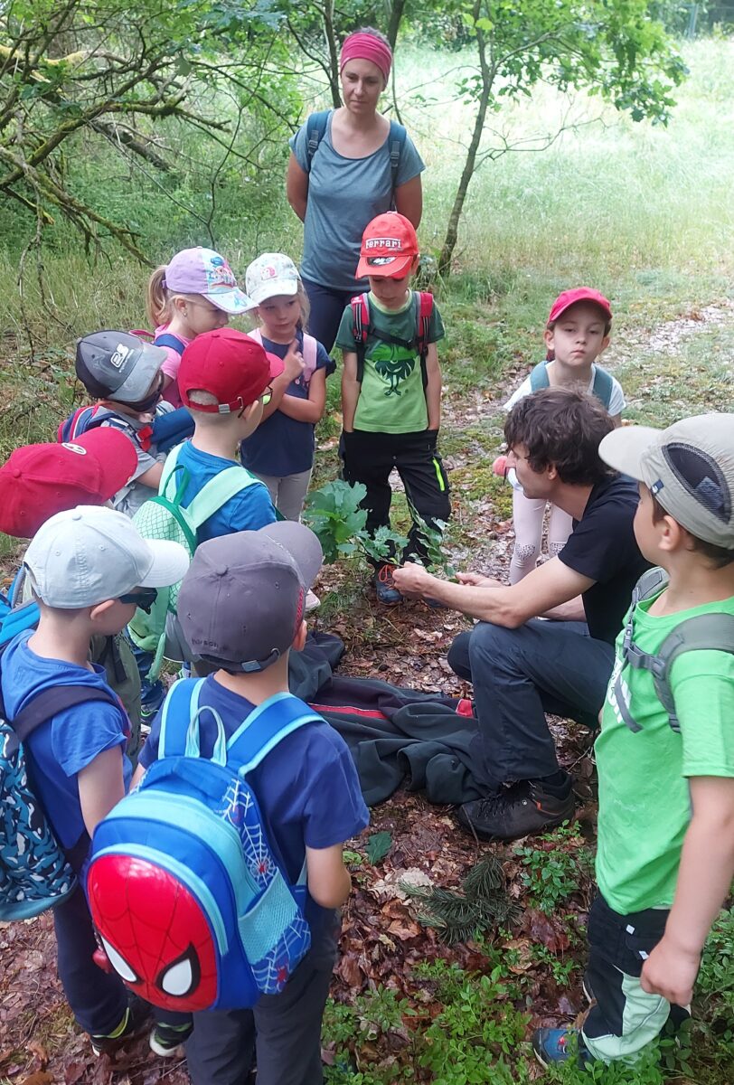 Der Natur im Leuchtenberger Wald hautnah auf der Spur
