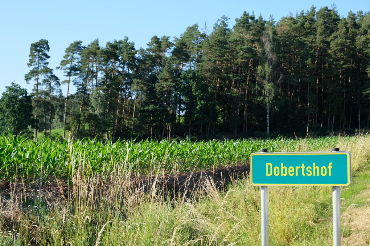 Vorrangflächen für Windräder im Speinsharter Forst