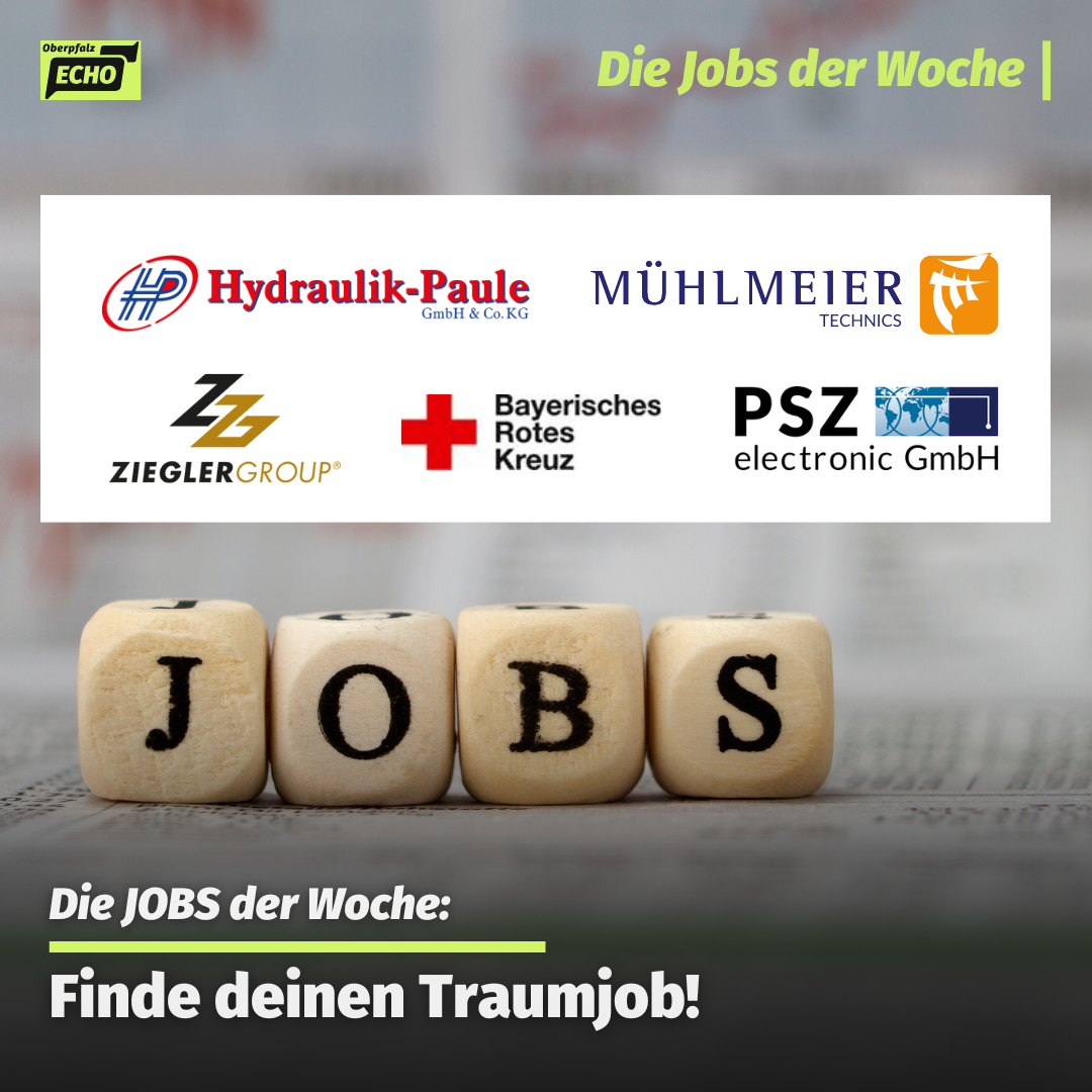 Auf Jobsuche? Jetzt beruflich neue Wege einschlagen