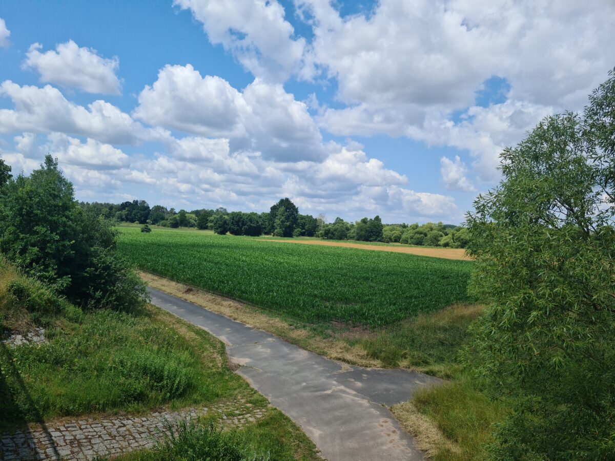 Stadtrat Grafenwöhr: Information über Klage gegen Kiesabbau