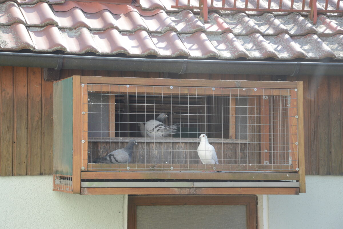 Marktgemeinderat: gutes Zeugnis für Parkstein