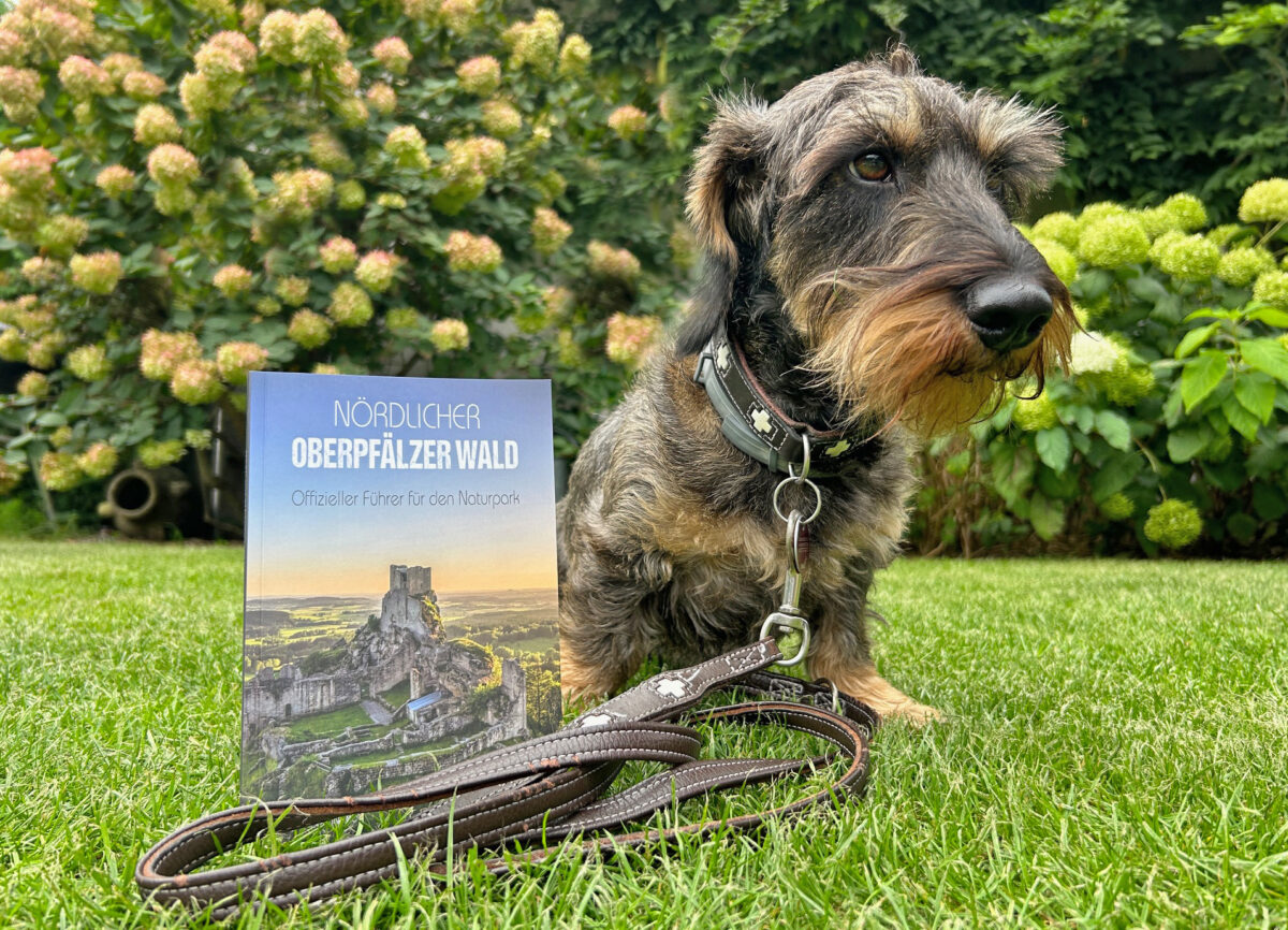 20230929 Willi will wandern Foto: Martin Stangl