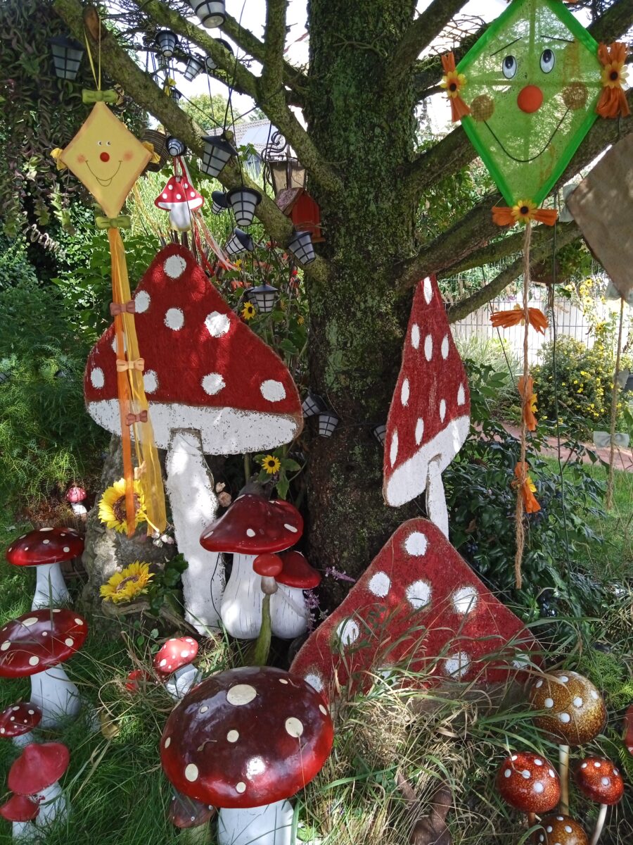 „Fliegenpilz-Alarm“ in Floss