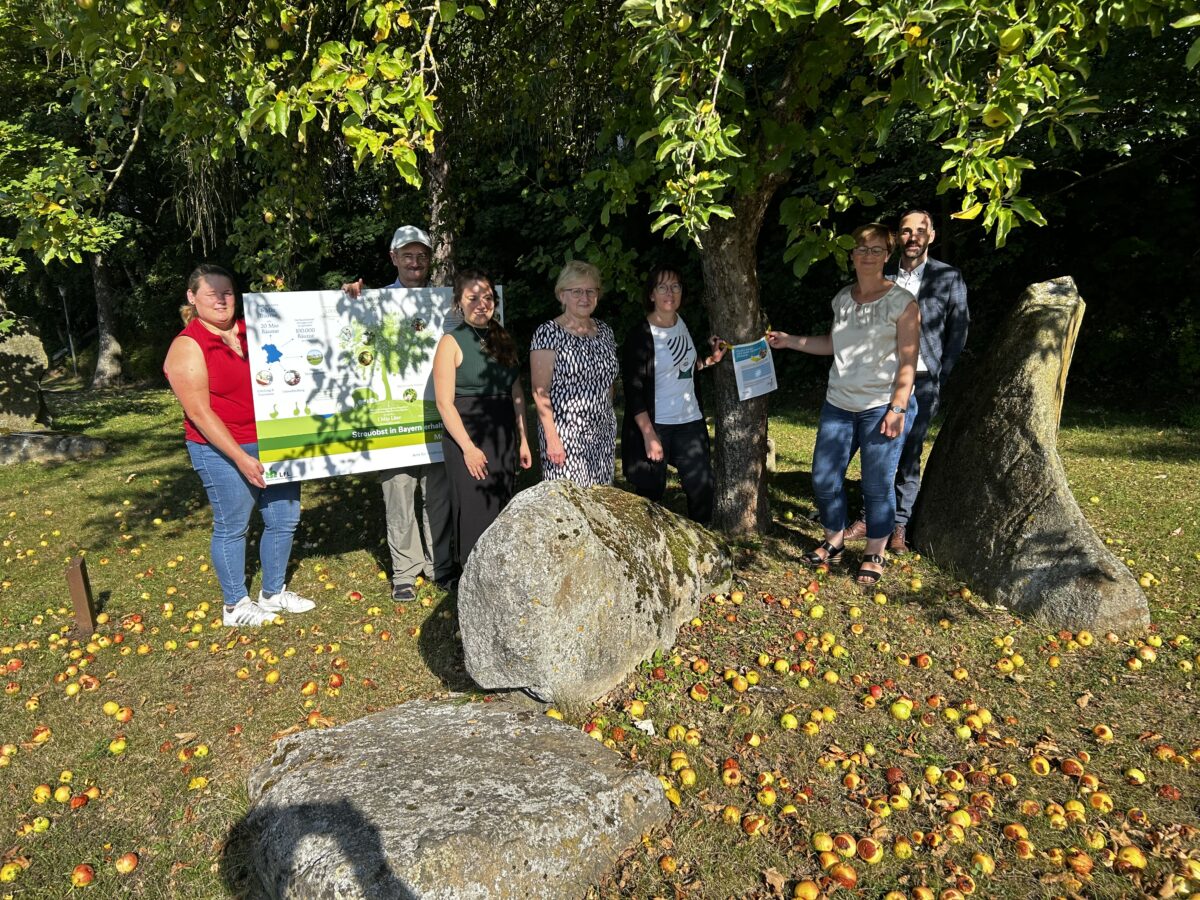 Aktion „Gelbes Band“: Moosbach lädt zur Obsternte ein