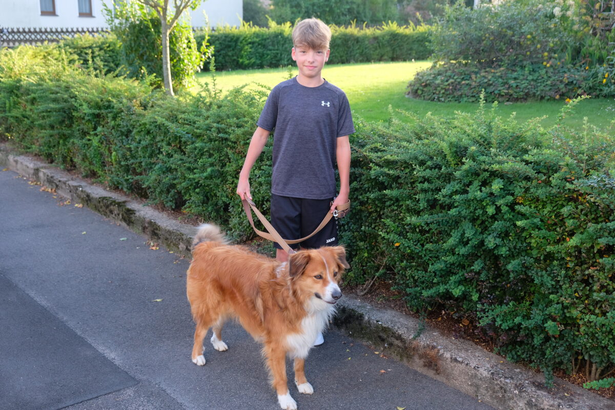 Gemeinderat beschließt Anleinpflicht für große Hunde und Kampfhunde