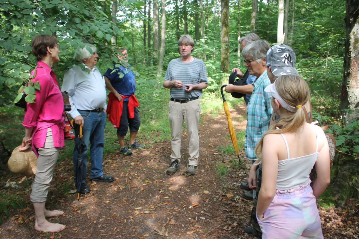 20 Millionen Jahre Kulmgeschichte: Englischer Garten und slavische Landschaft