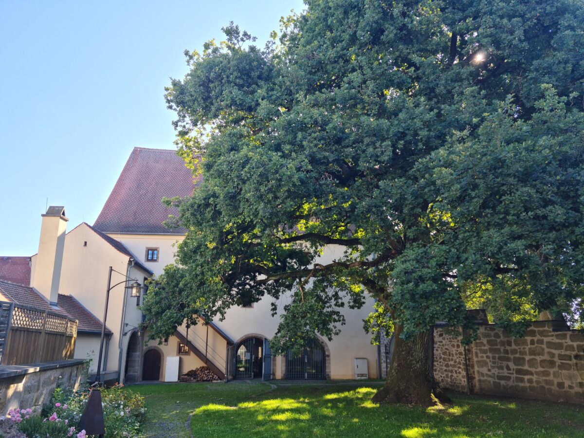 Der Zehentkasten in Grafenwöhr – ein Haus mit und für Geschichte