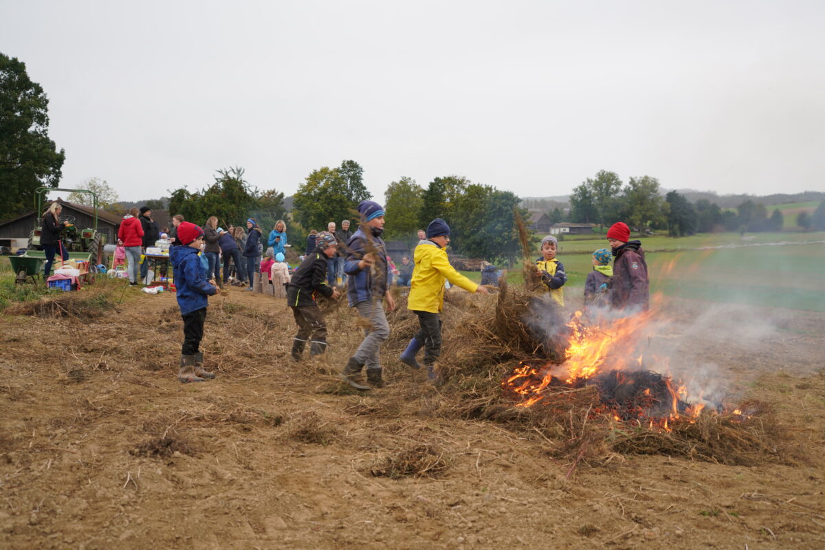 Erdäpflfeld bringt Freude und Ernte