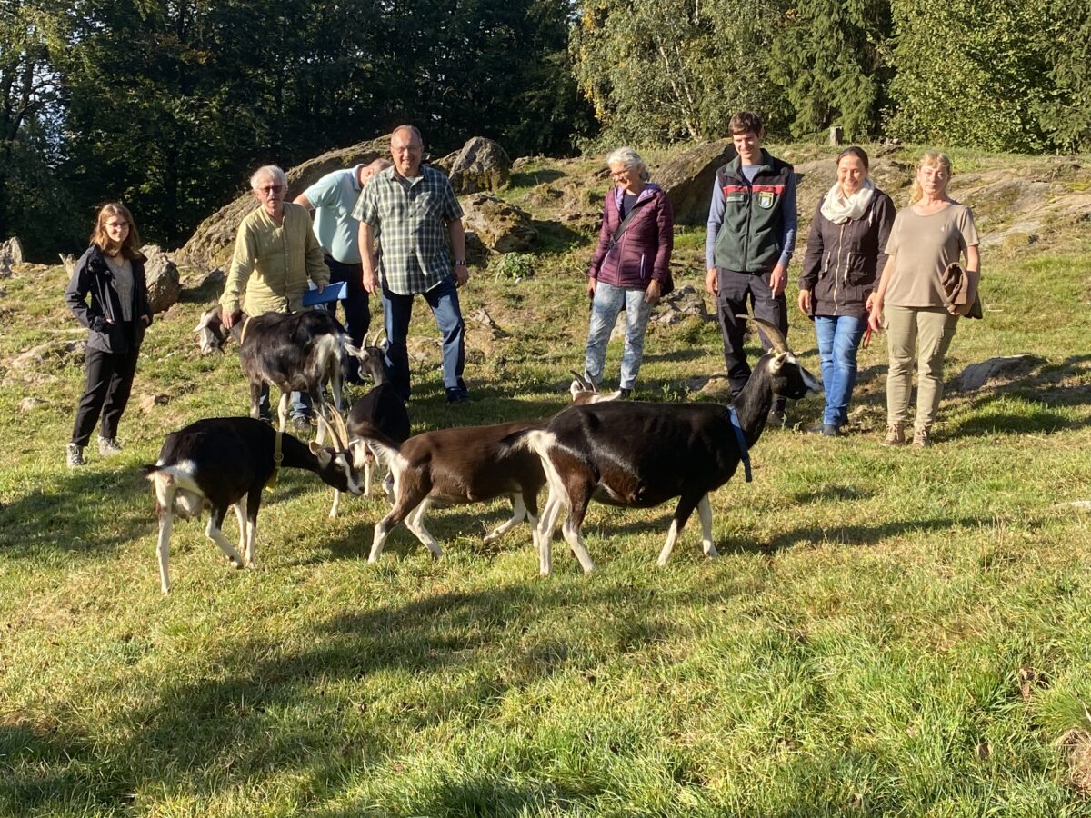 Glückliche Ziegen am Geologischen Lehrpfad