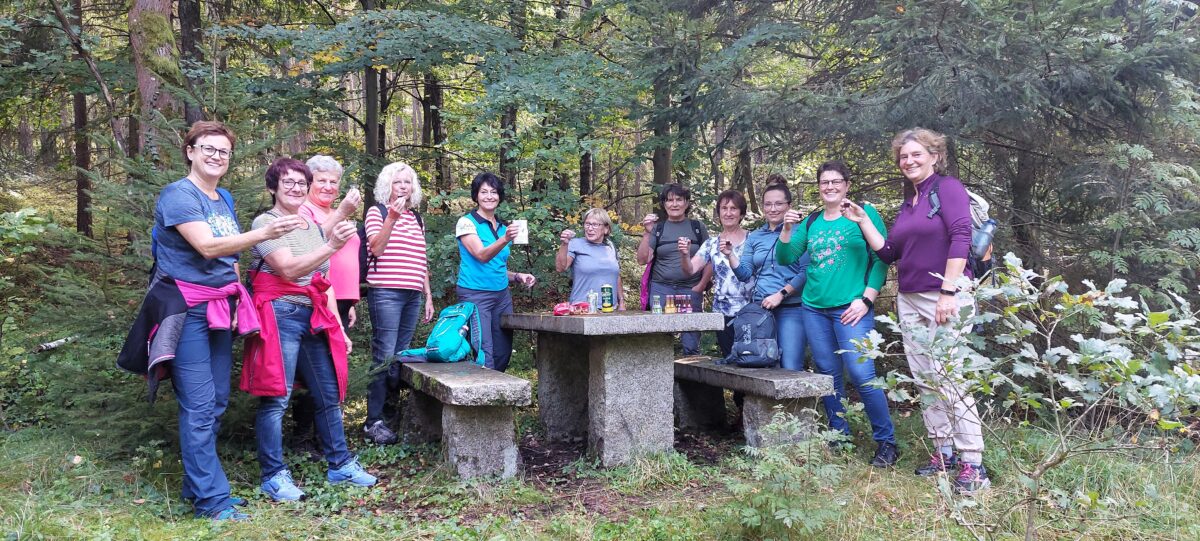 OWV Smovey Ringe-Walking Gruppe Waldthurn unterwegs.