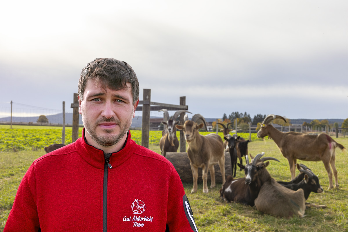 Tierrettung von Gut Aiderbichl: Über 300 Ziegen und Schafe vor Einschläferung bewahrt