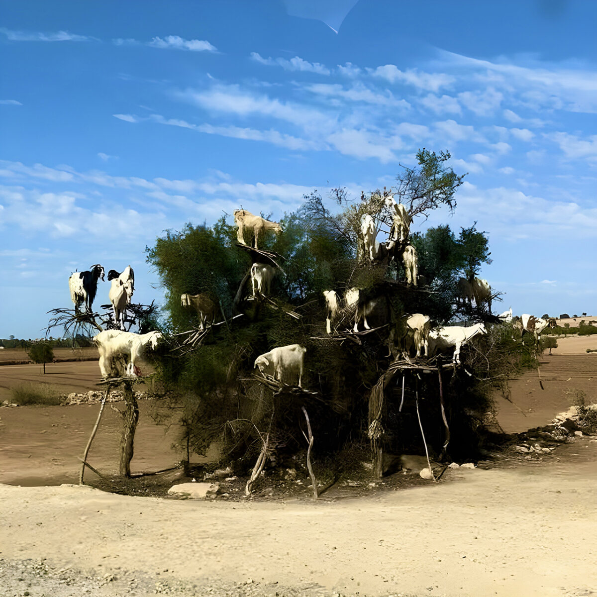 Schobers Rock-Kolumne, Halloween-Ausgabe: Herbstzeitlose Symphonie des Grauens