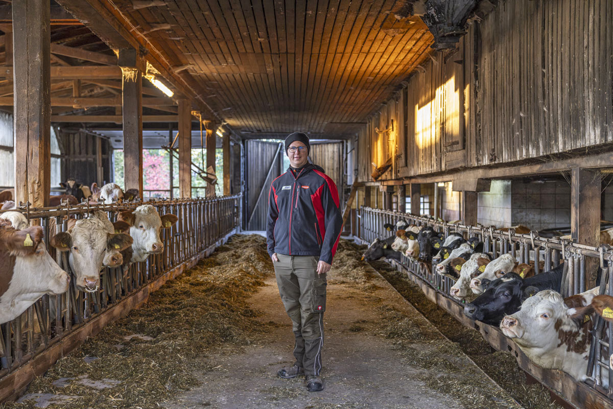 Trotz Ernteeinbrüchen sollen die Milchkühe glücklich über den Winter kommen