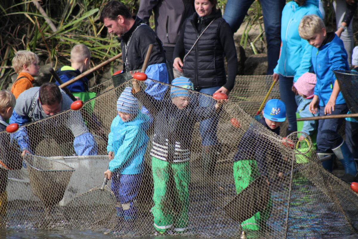 Fischwochen Abfischen