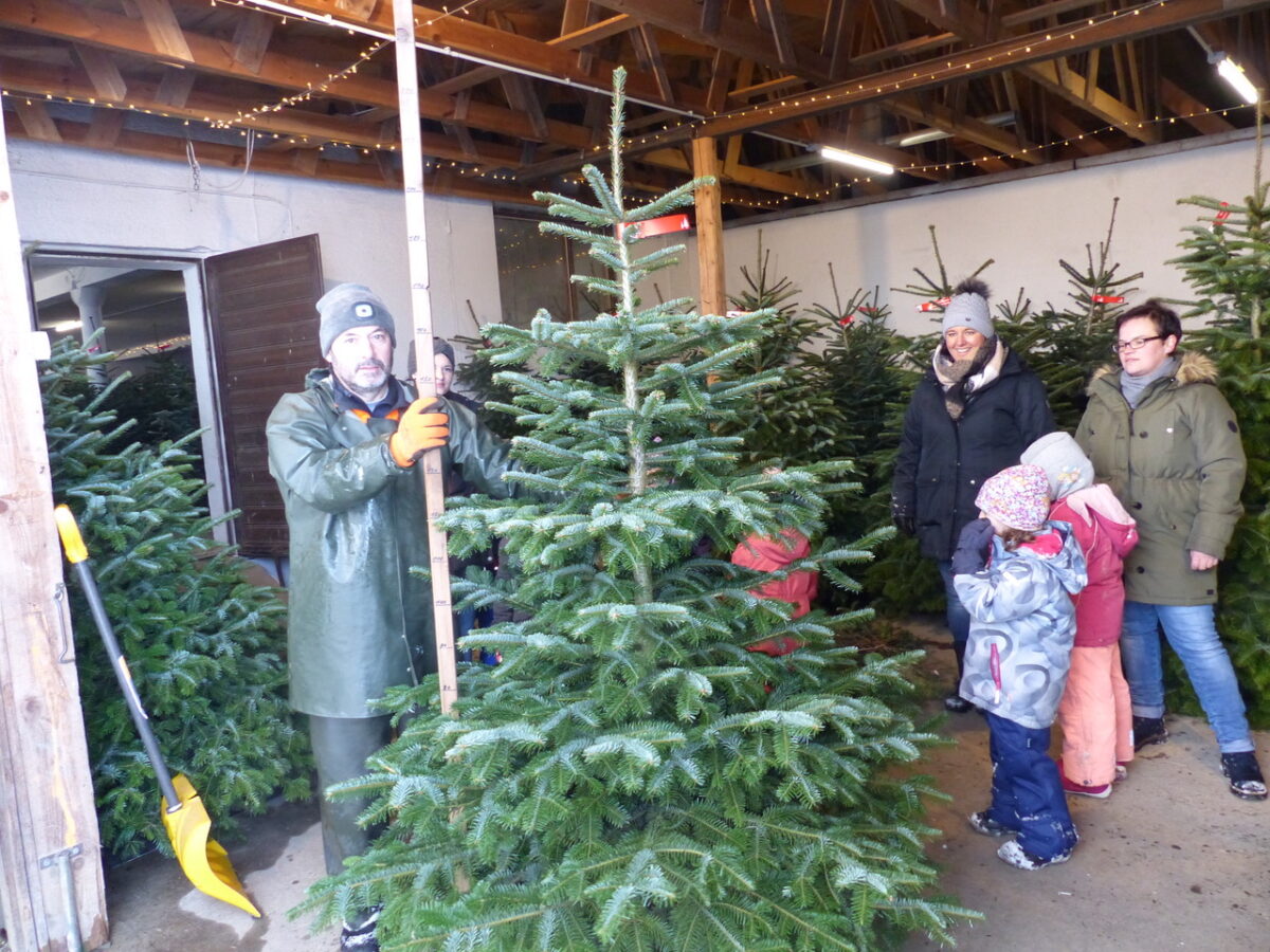 Christbaum für die KiTa Leuchtenberg