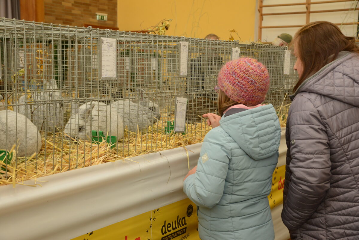 Tradition und Gemeinschaft: Die Ausstellung des Kleintierzuchtvereins Windischeschenbach