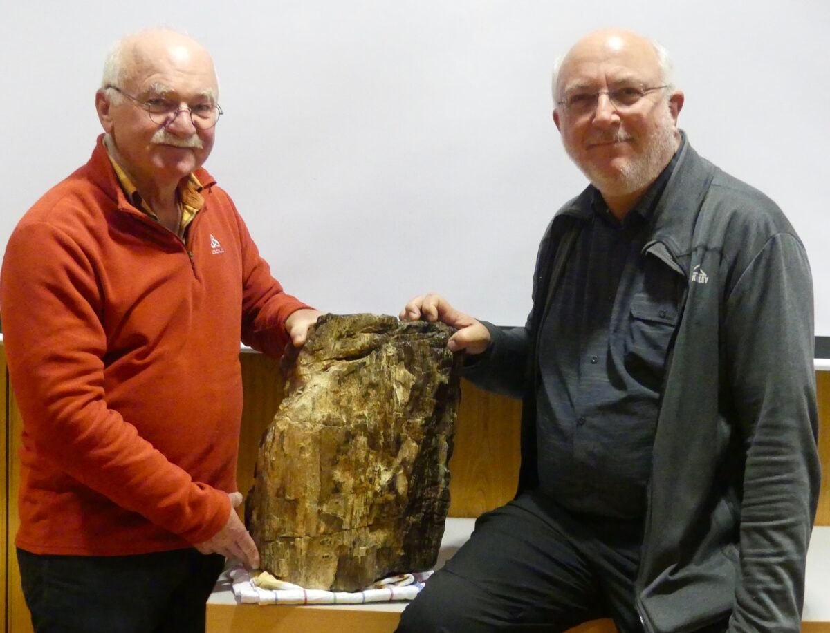 Hobby-Geologe aus Weiherhammer findet schweren Brocken aus versteinertem Holz