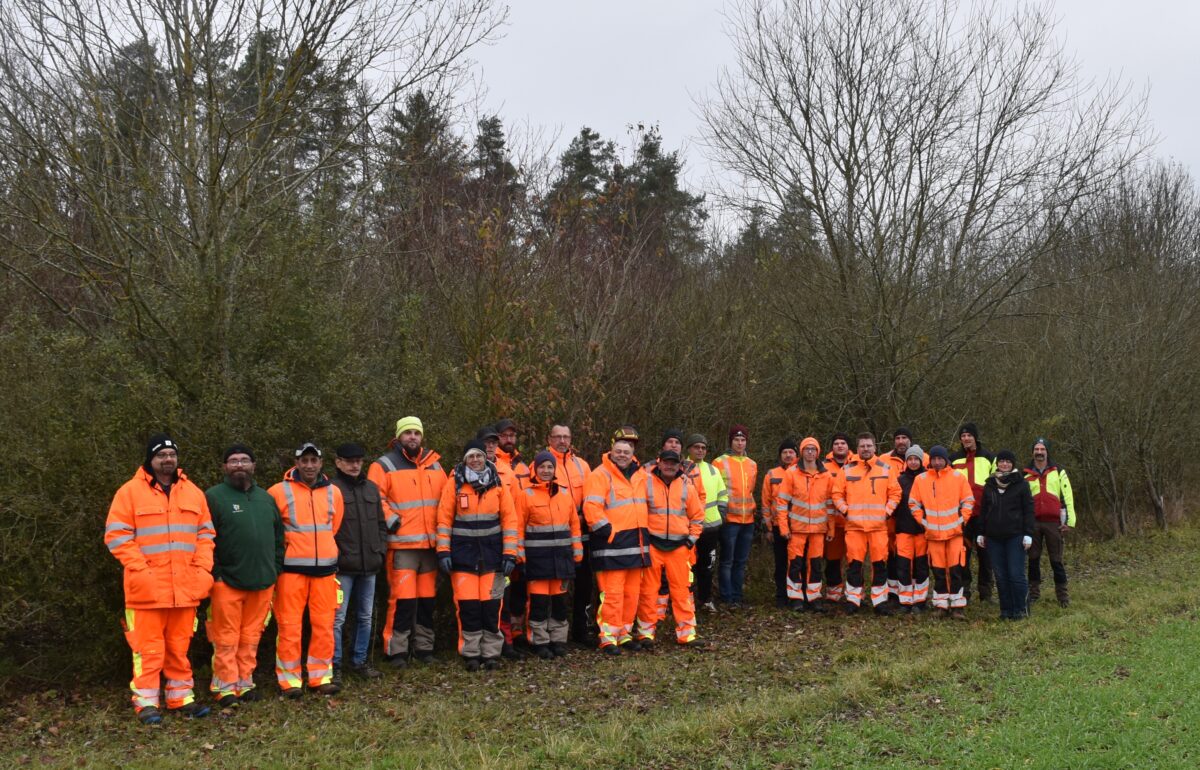 Kommunale Hecken richtig schneiden