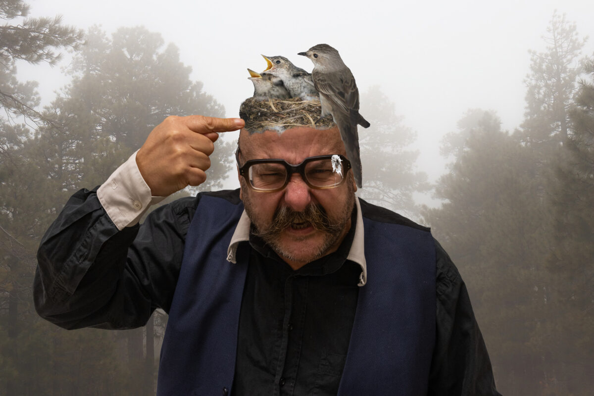 Bockboanig [ˈbɔkbaɪ̯nɪç]: Wo is Vogi?