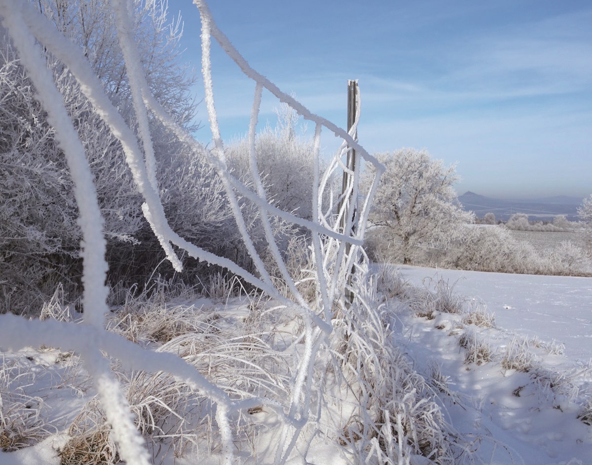 Alle Jahre wieder: Der Veranstaltungs- und Terminkalender der Freien Wähler