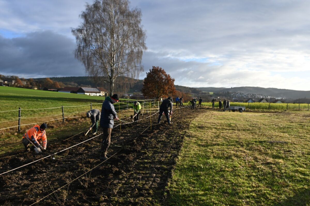Ein neues Wohnzimmer fürs Rebhuhn