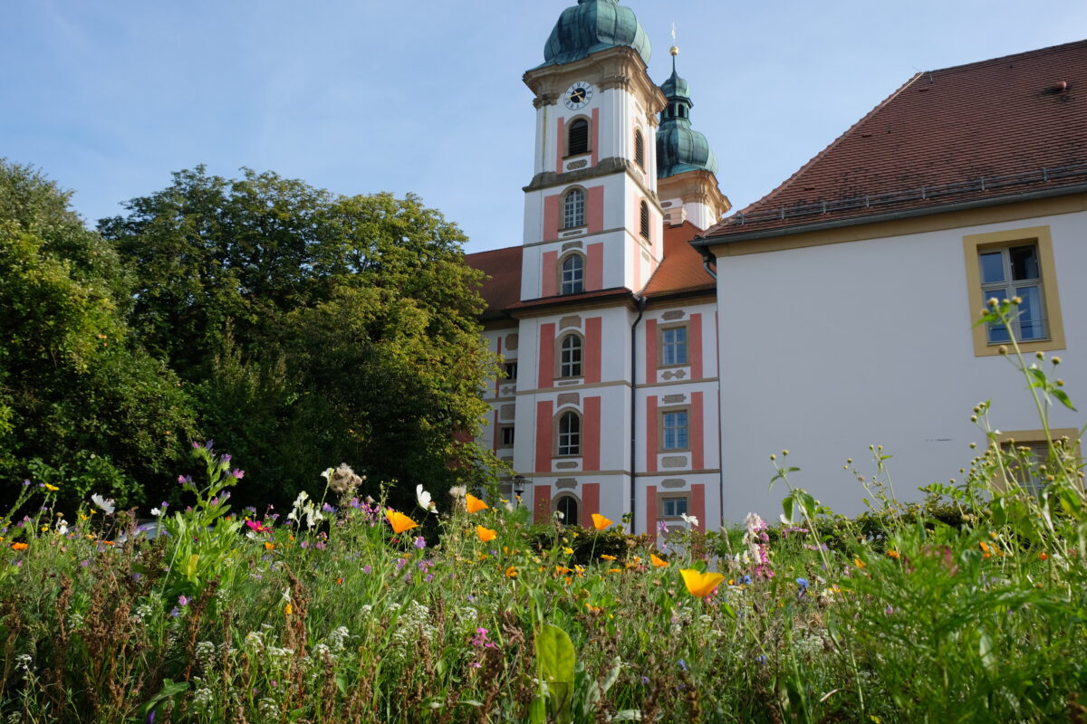 Grünes Licht für Wissenschaftszentrum in Speinshart