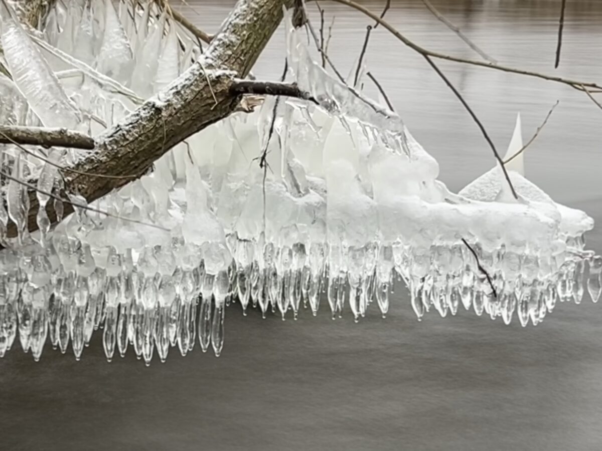 Namenstag am 22. Januar: Vinzenz (Vinzent, Zenz, Vinzi)