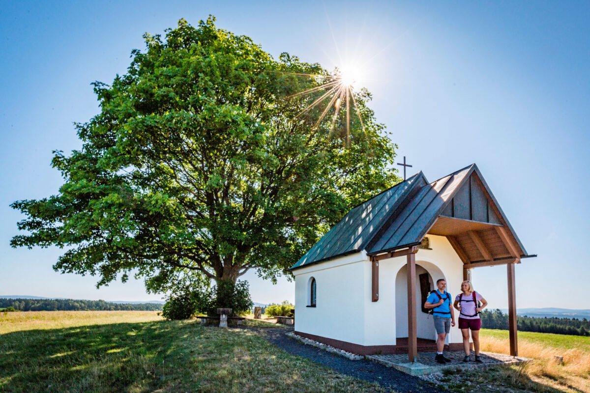 Zwischen Wald, Wasser und Wirtshaus – Wandermagazin zeigt die schönsten Wege der Region