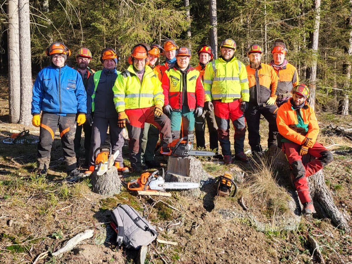 Kompetenz an der Kettensäge