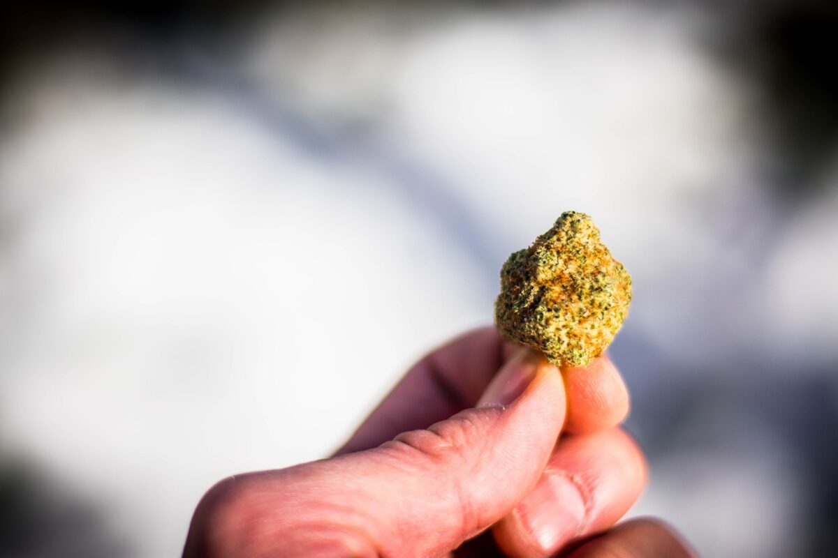 20240219 Cannabis Foto: Pixabay (5)