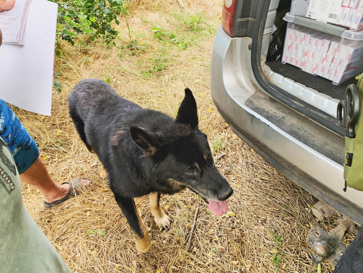 Zwei Jahre Putins Krieg: Seit Februar 2022 helfen BHS und „Universal Aid Ukraine“ vor Ort