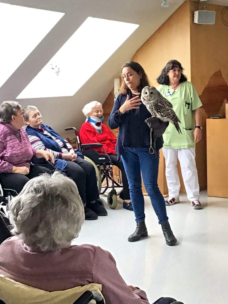 Eulenbesuch begeistert Seniorenheim