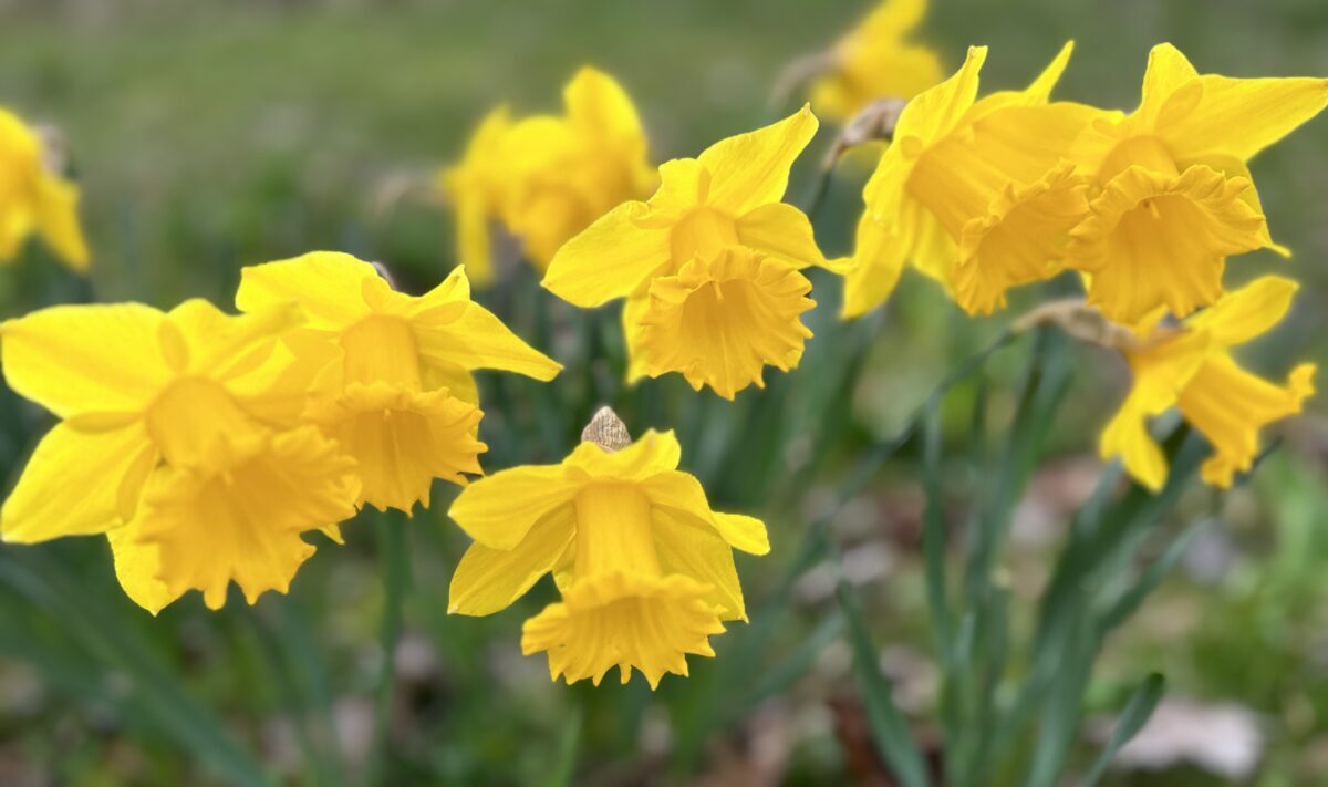 20240104 April 2024 Foto: Martin Stangl