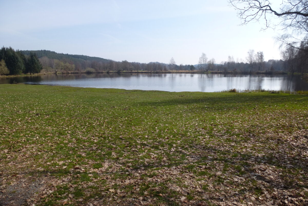 Unbeschwertes Badevergnügen in Weiherhammer