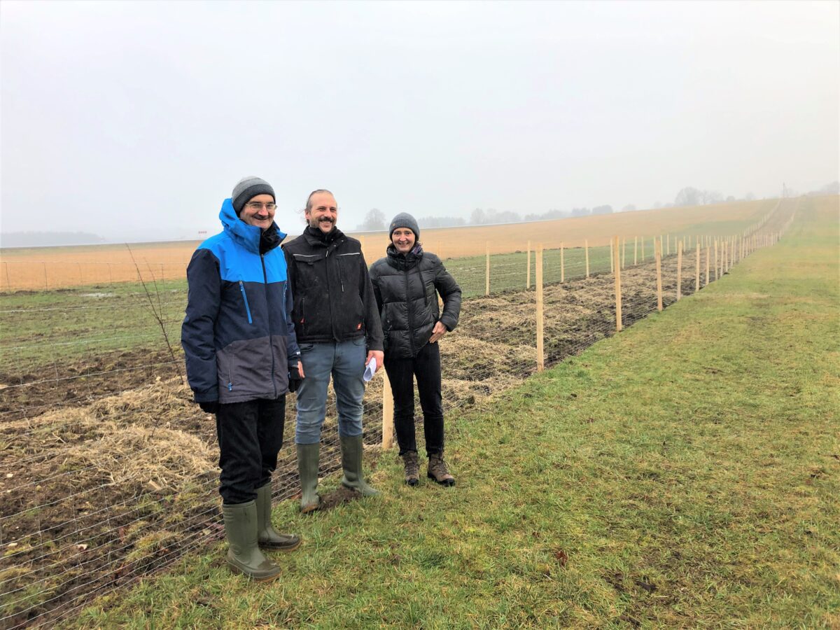 Hecken in der Flur fördern Artenvielfalt –Positives Beispiel in Walpersreuth