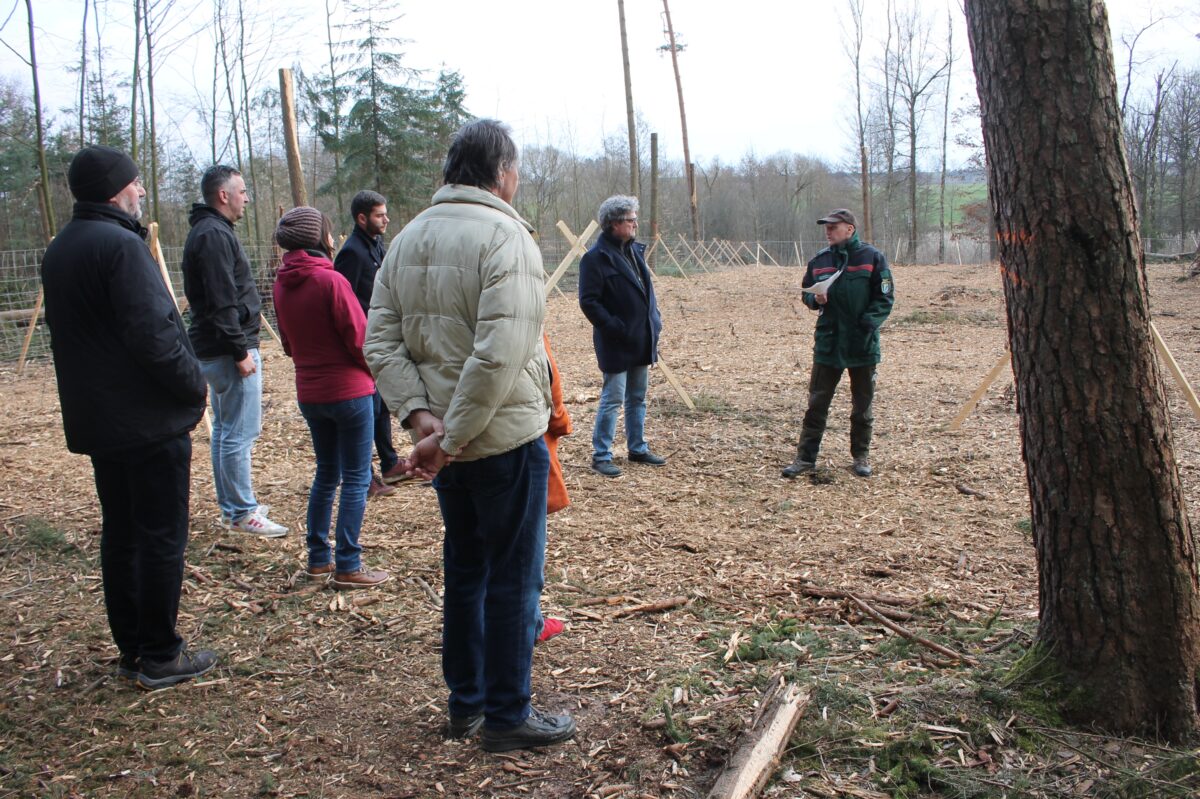Waldprojekt in Pressath: Punktezahl für das "Ökokonto" erhöhen