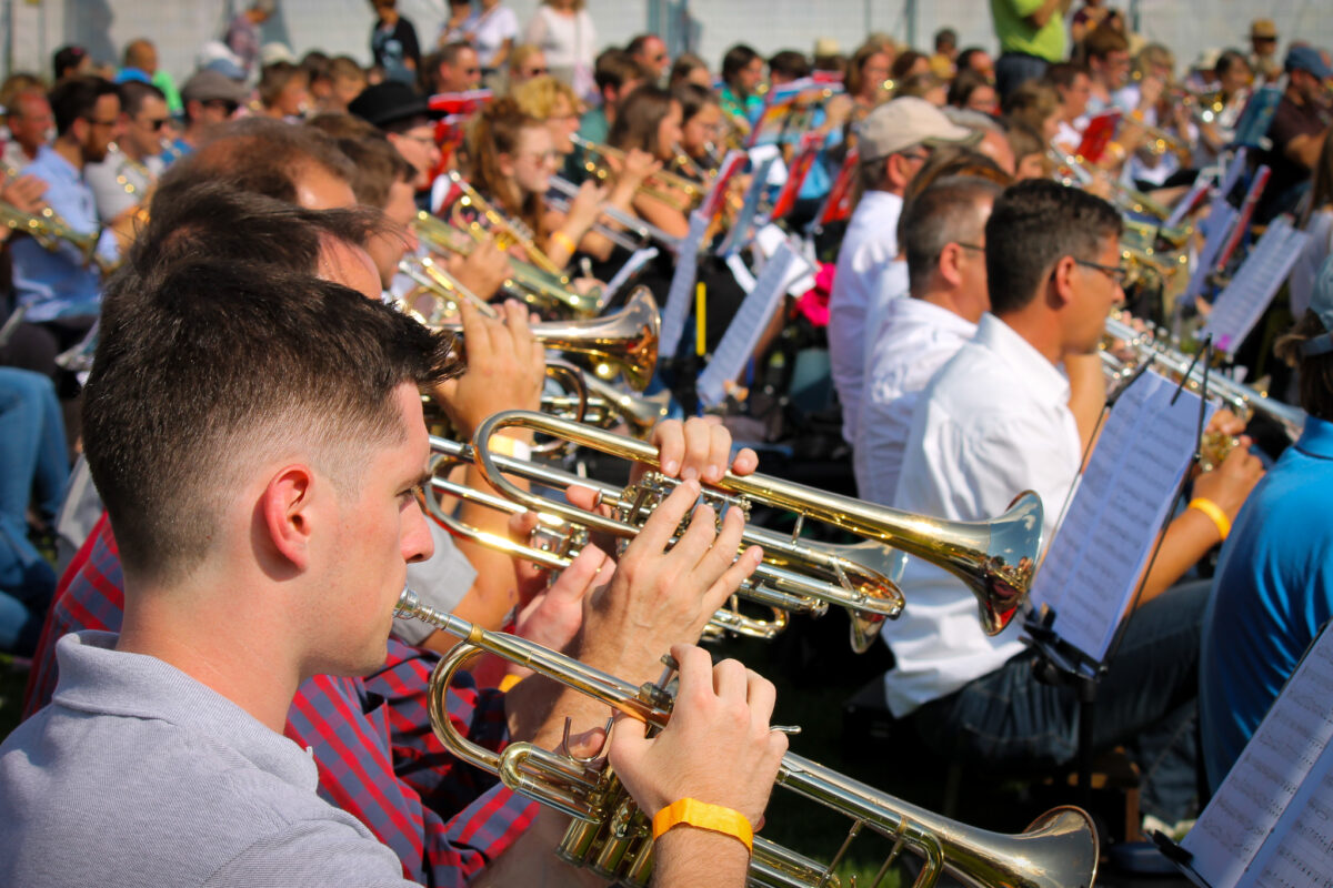 Online-Infoveranstaltung: Landesgartenschau setzt auf Unterstützung der Vereine
