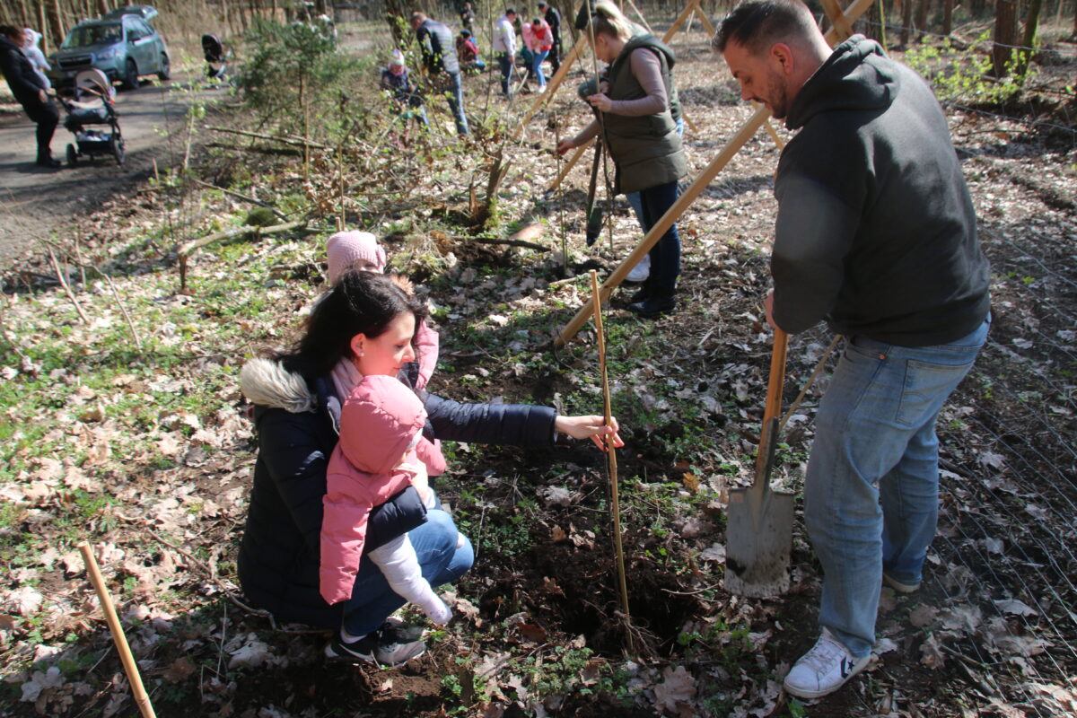 Bäume pflanzen für den Baby-Boom