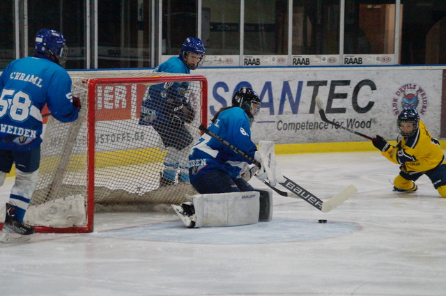 Young Blue Devils: Zwei Teams spielen um die bayerische Landesligameisterschaft