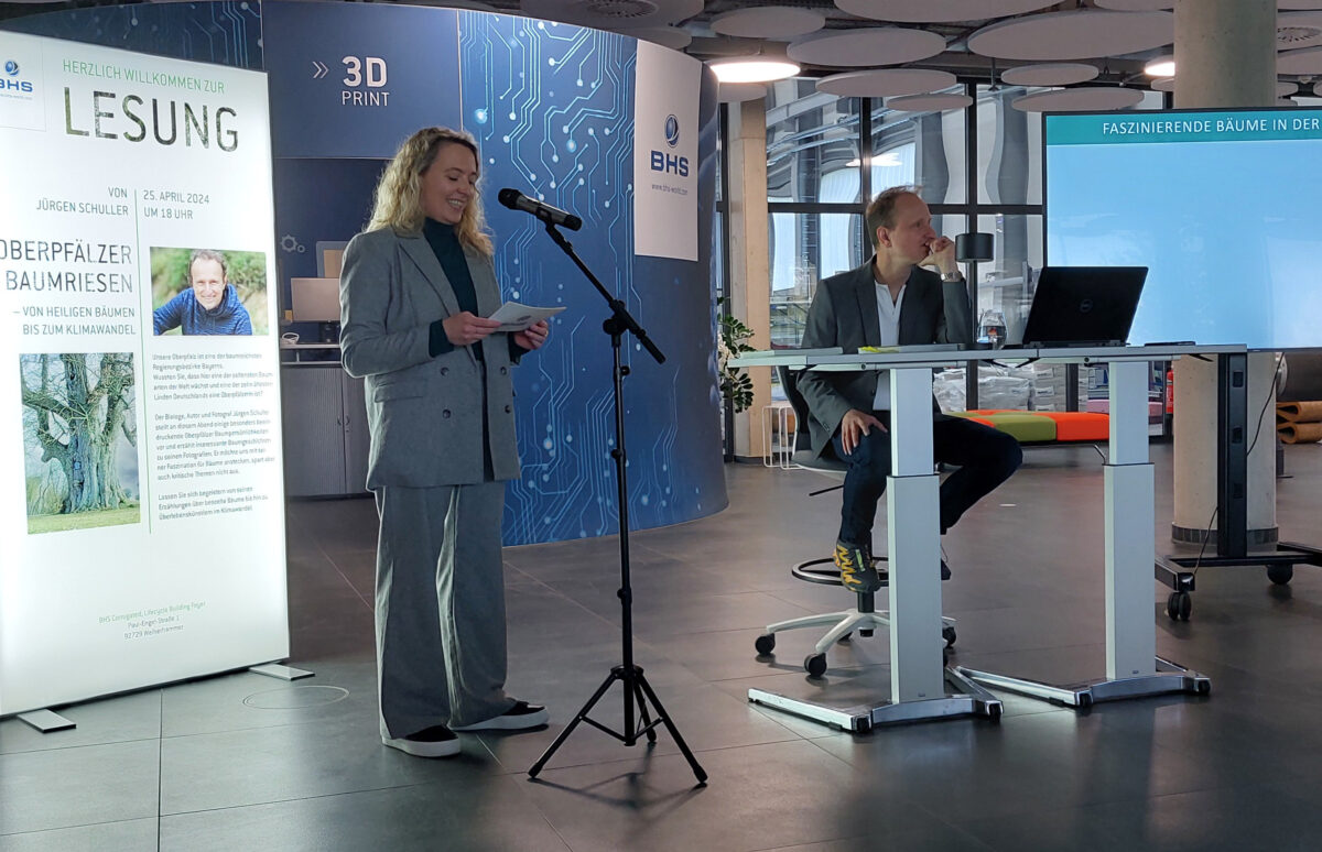 Entführung ins Reich der Baumriesen