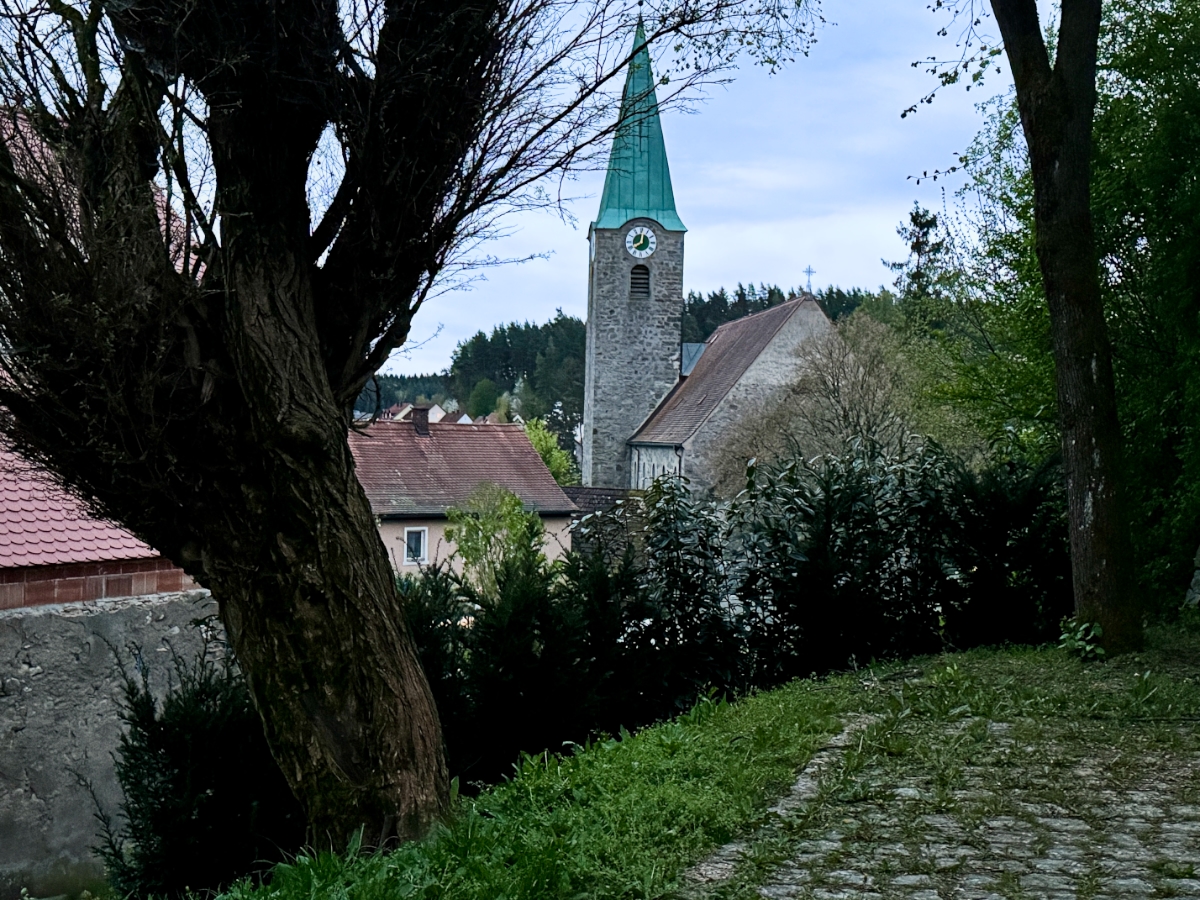 Hecke am Störnsteiner Pumphaus: Sind die "Birla" für Kinder gefährlich?