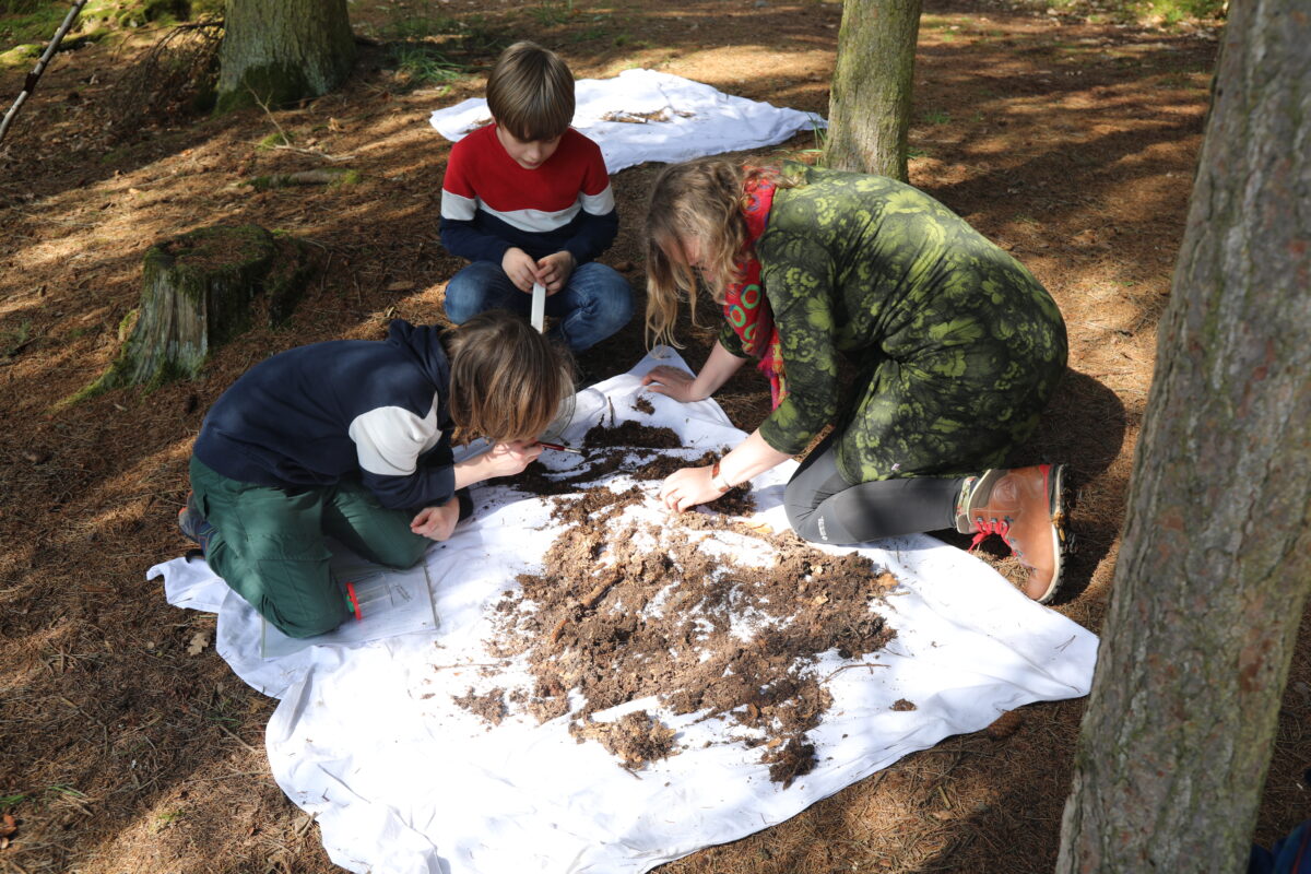 Den Tag der Erde im Freilandmuseum Oberpfalz feiern