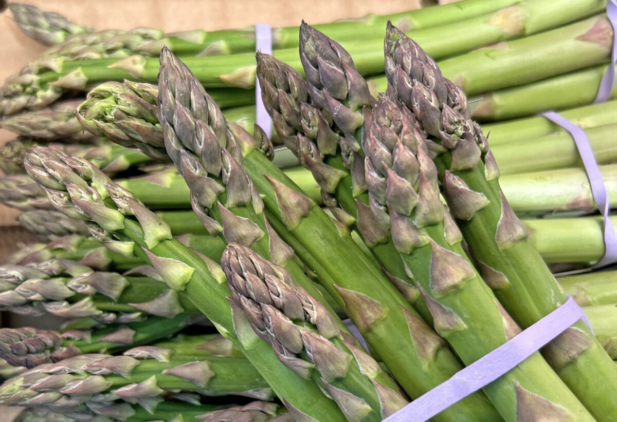 20240511 Spargel Martin Stangl