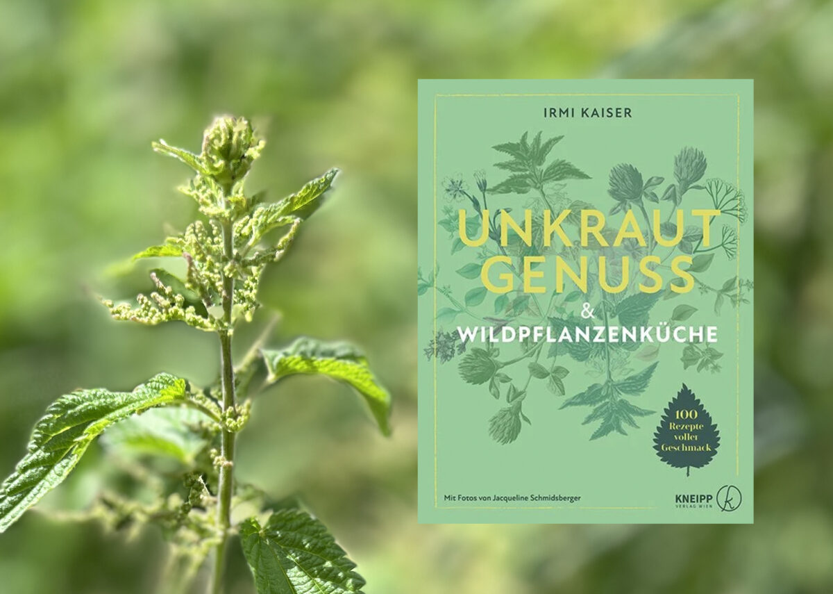 Brennnesselgenuss Foto: Martin Stangl