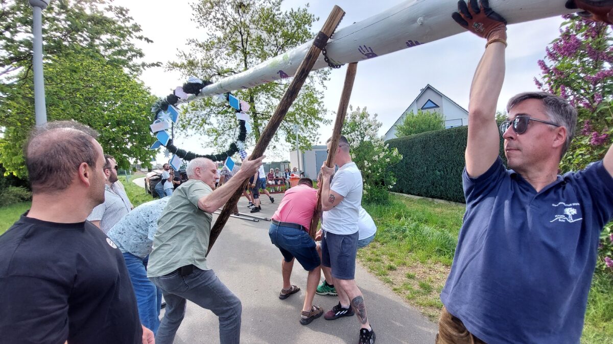 Krumme Äcker Siedler stellen Maibaum auf