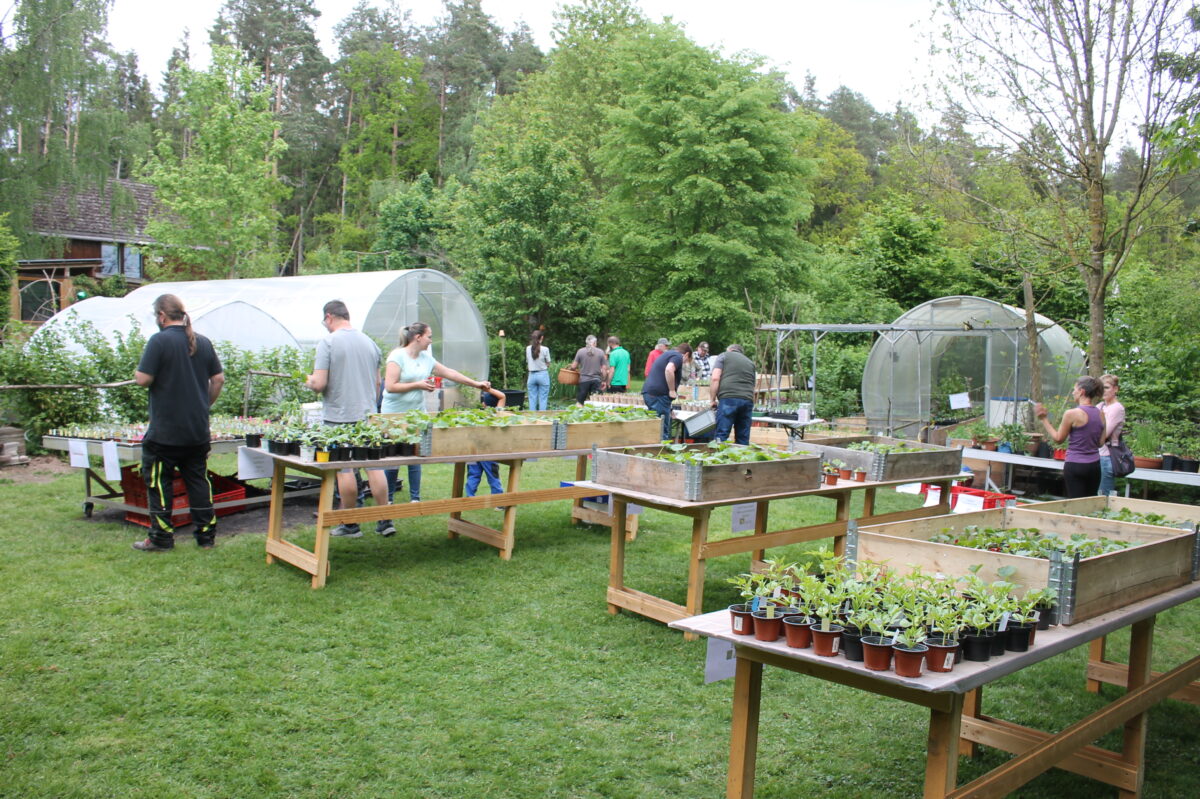 Weihersberger Pflanzenbörse: Große Vielfalt begeistert Besucher