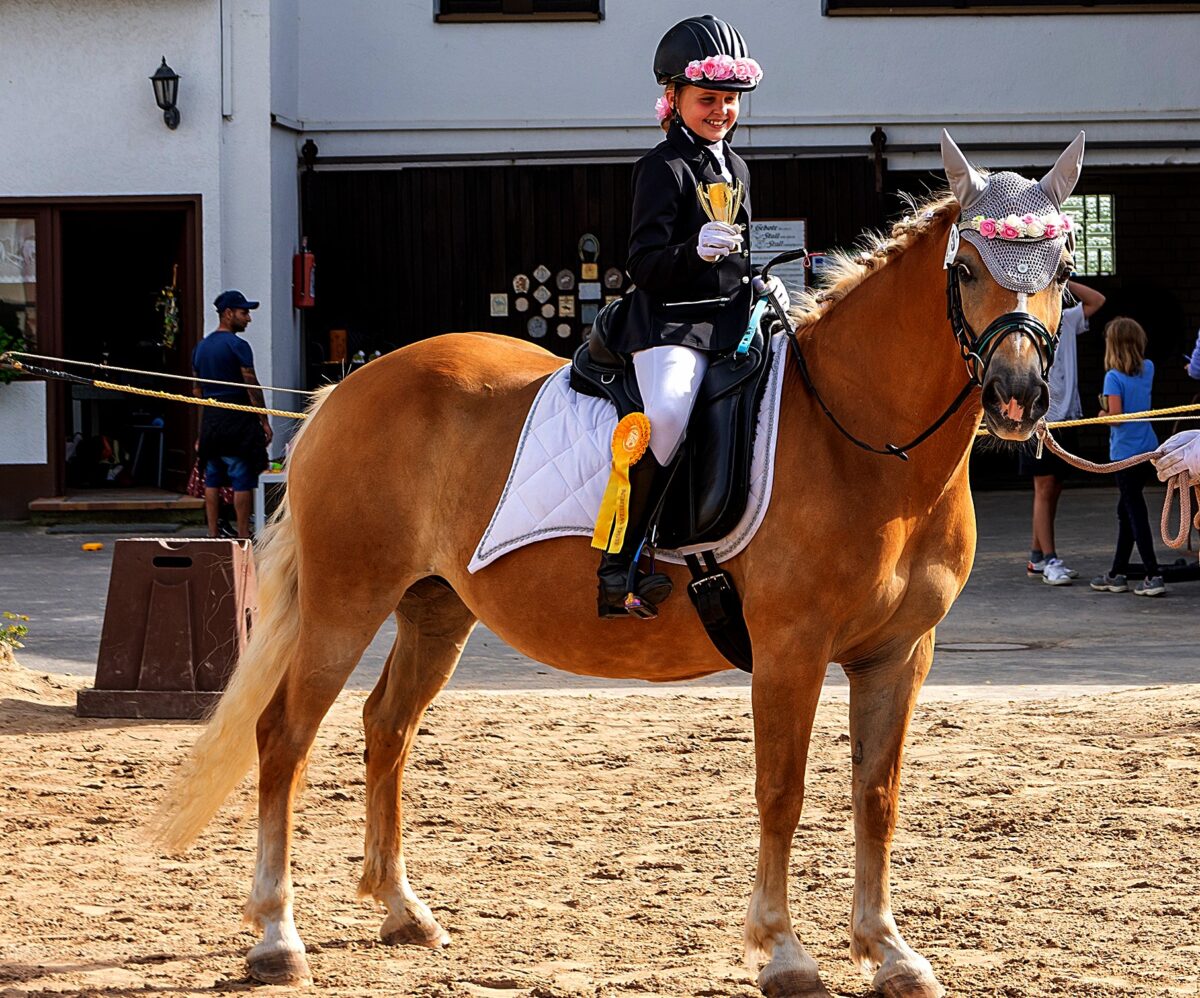 24. WBO-Turnier in Weiden erfreut über 400 Besucher
